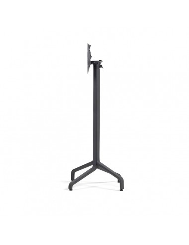 alt= Base Frasca High Folding