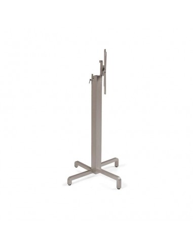alt= Base Ibisco High