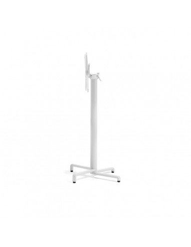 alt= Base Scudo High