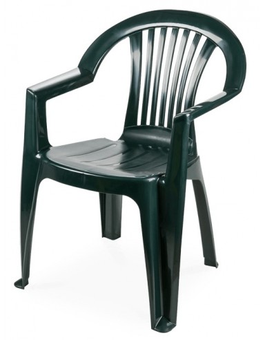 alt= Silla Lagos