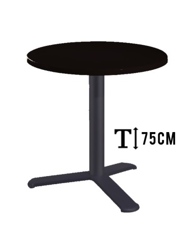 alt= Mesa TKITT.BG3L