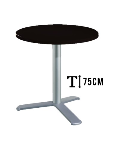 alt= Mesa TKITT.BG3L