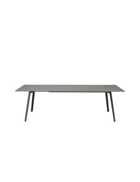 alt= Mesa Squid Extensible