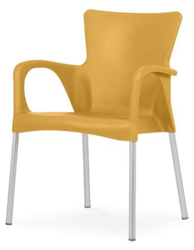 alt= silla Lara