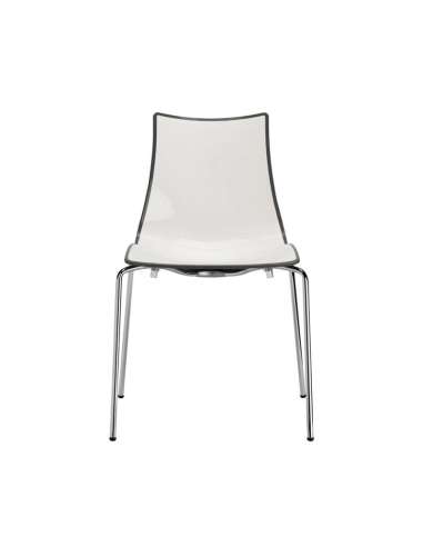 alt= Silla Zebra Bicolor