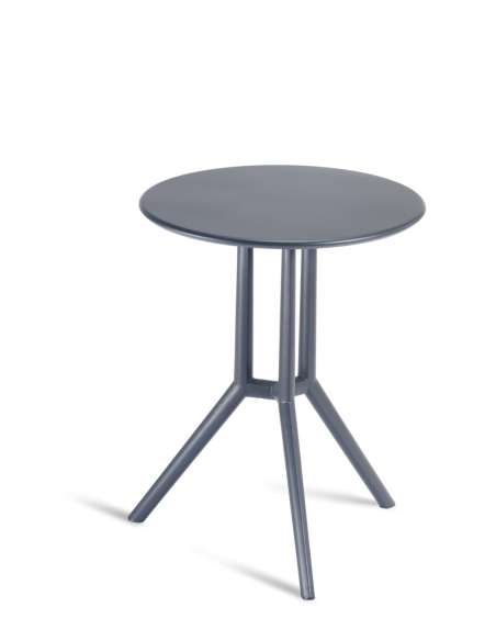 alt= Mesa Juniper 3