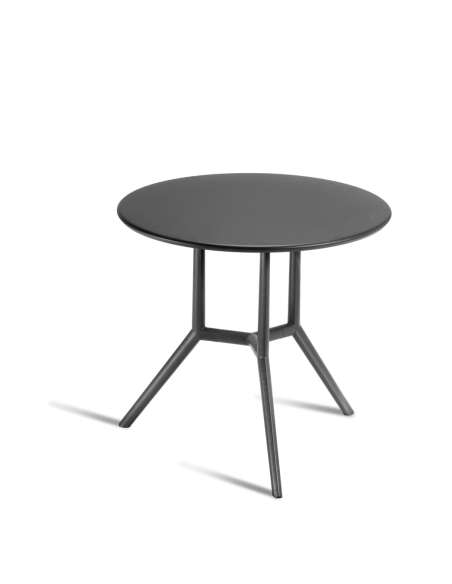 alt= Mesa Juniper 3