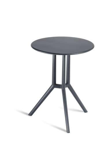 alt= Mesa Juniper 3