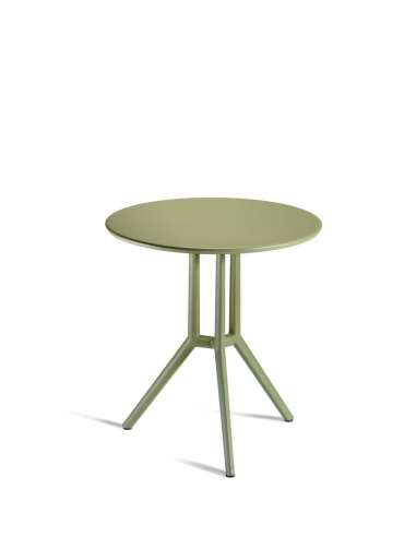 alt= Mesa Juniper 3