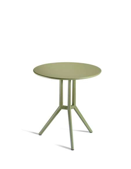alt= Mesa Juniper 3