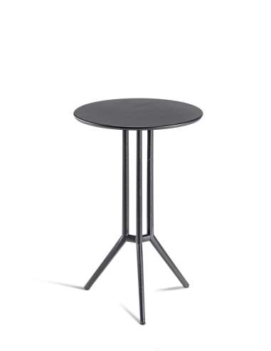 alt= Mesa Juniper 3