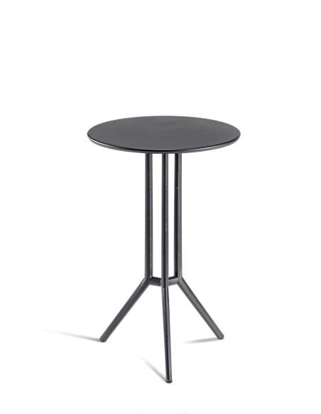 alt= Mesa Juniper 3