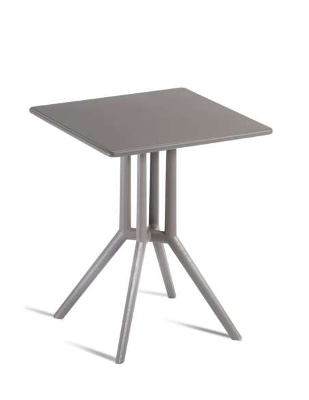 alt= Mesa Juniper 4