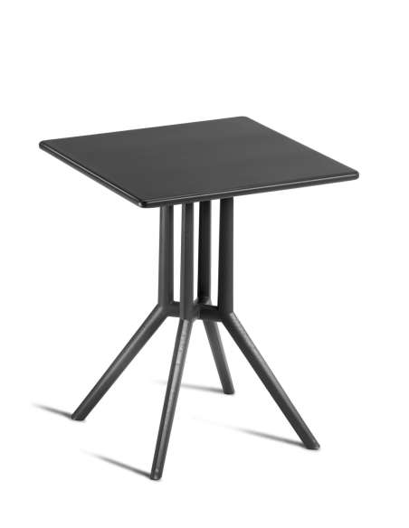 alt= Mesa Juniper 4