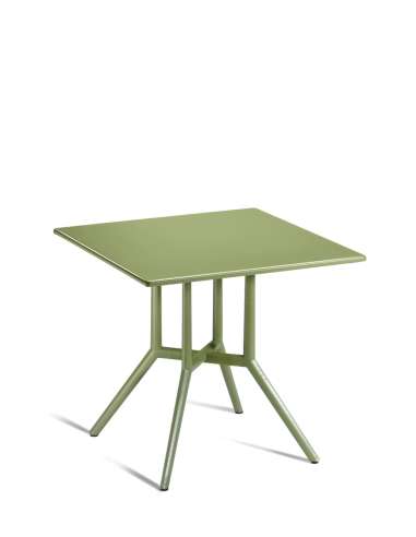 alt= Mesa Juniper 4