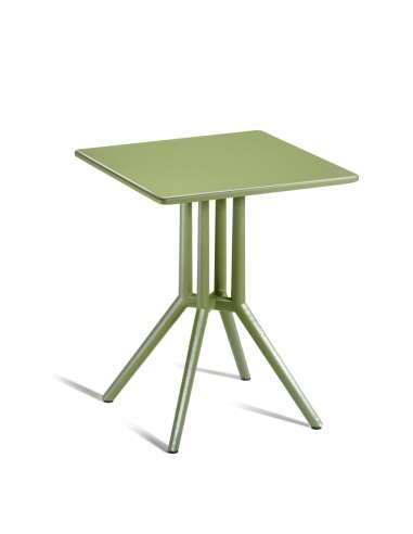 alt= Mesa Juniper 4
