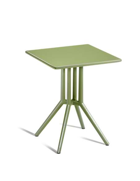 alt= Mesa Juniper 4
