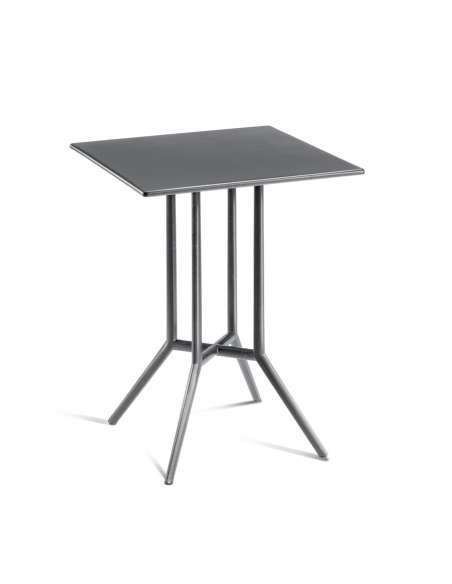 alt= Mesa Juniper 4