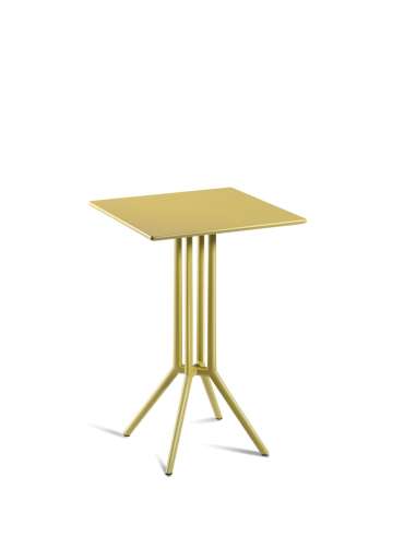 alt= Mesa Juniper 4